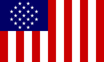 [like the us flag but with less stars and vertical bars]